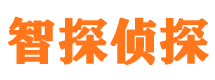 四川智探私家侦探公司